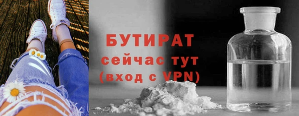 гидра Горняк