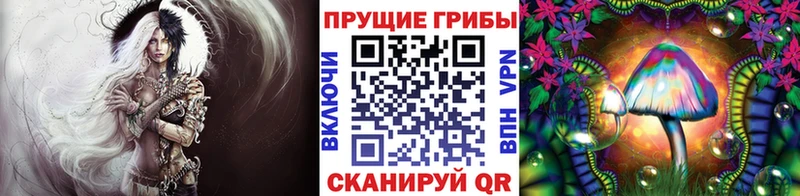Псилоцибиновые грибы Psilocybine cubensis  где продают наркотики  маркетплейс как зайти  Неман 